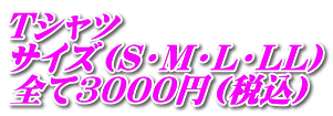 Tシャツ サイズ（S・M・L・LL） 全て3000円（税込）