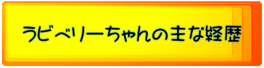 ラビベリーちゃんの主な経歴 