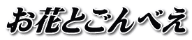 お花とごんべえ